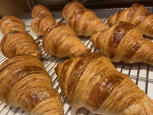   Sailknotz　セイルノッツ大山店